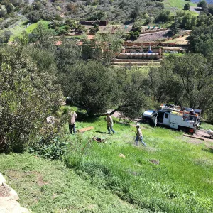 Removing old power pole on east slope of the PCC