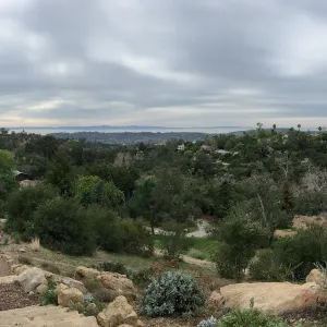 Island View Garden, view south to the Channel Islands