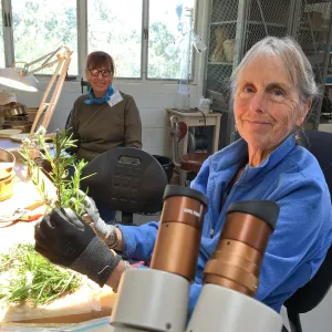 Bonnie Whitney and Karin Hodin working at the Hort Unit