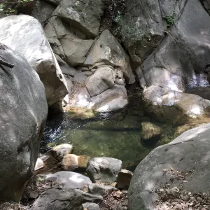 Rattlesnake Creek on Rattlesnake Trail