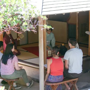 Member Appreciation Tea Ceremony