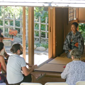 Member Appreciation Tea Ceremony