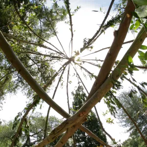 Woodrat House Casita