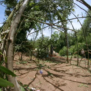 Woodrat House Casita