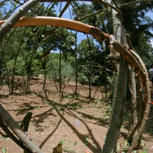 Woodrat House Casita