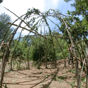 Woodrat House Casita