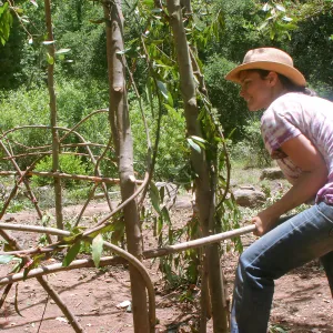 Betsy Lape building the Woodrat House Casita