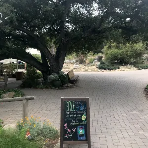 Instagram selfie chalkboard sign