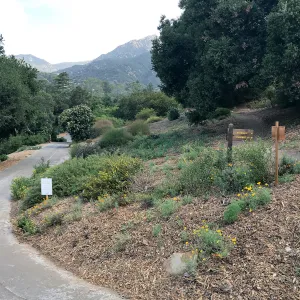 Southwest Trail and east side driveway