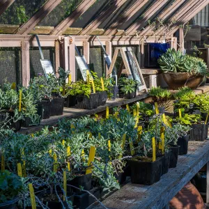 Garden Growers Nursery