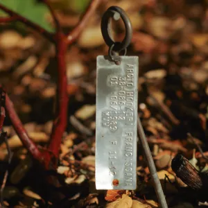 Plant Accession Label