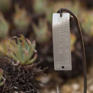 Plant Accession Label