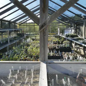 Liner House at Horticulture Unit