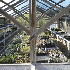 Liner House at Horticulture Unit