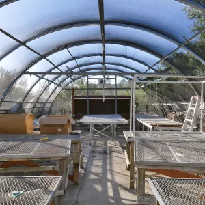 Interior of Hoop House at Horticulture Unit looking west