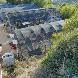 Horticulture Unit Shade Structures, looking southwest from the upper parking lot