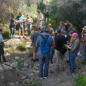 Josie Lesage and Volunteers, Cozy Dell Trail, Thomas Fire Survey - Mapping Recovery project