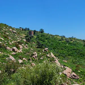 Post-fire chaparral landscape, McMenemy Trail, Santa Barbara, California, Thomas Fire Survey - Mapping Recovery project