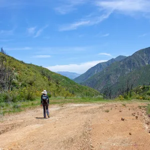 Stephanie Calloway walking along 5N13 near the Murietta Divide in a post-burn landscape, Murietta Rd (5N13), Ojai, CA, Thomas Fire Survey - Mapping Recovery project