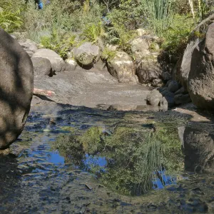 Upper Pond in the Arroyo Section during cleanout project