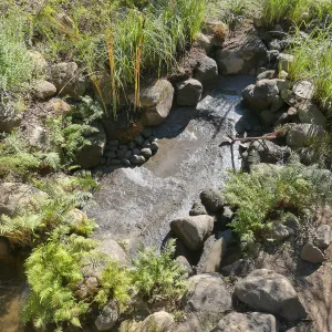 Upper Pond in the Arroyo Section during cleanout project