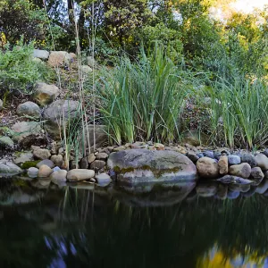 Upper Pond in the Arroyo Section