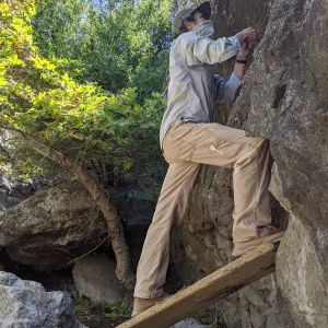 Rare Plant Technician, Sean Carson, collects seed from Dudleya cymosa subsp. marcescens, Leo Carrillo State Park