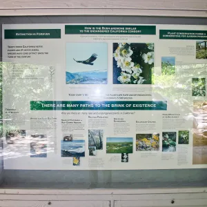 Extinction display in the Information Kiosk