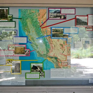 Plant Communities of the Golden State display in the Information Kiosk
