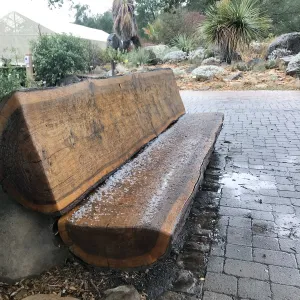 Hail on the Katherine Muller Bench at the entrance
