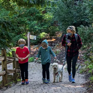 Face Coverings in the Garden