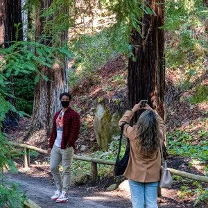 Face Coverings in the Garden