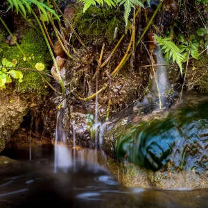 Fern Grotto