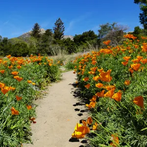 View from 2021 Meadow photo spot