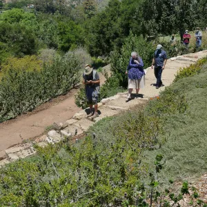 Geege Ostroff, Joan Evans, and Steve Windhager inaugurate the new stone staircase in the Island Transect Display, built by Jacob Cobian