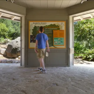 New Plants and Place interpretive panel in the Information Kiosk