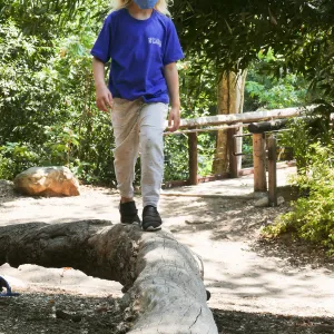 Acorn Adventurers Summer Camp at the climbing logs