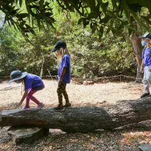 Acorn Adventurers Summer Camp at the climbing logs