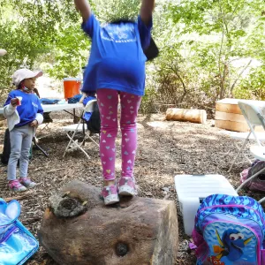 Acorn Adventurers Summer Camp