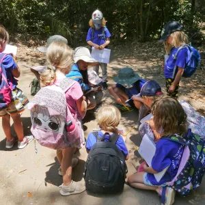 Acorn Adventurers Summer Camp, observing an insect