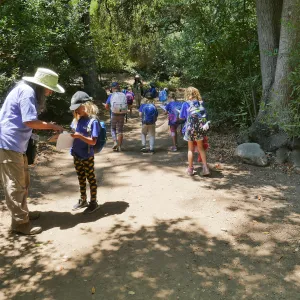 Acorn Adventurers Summer Camp