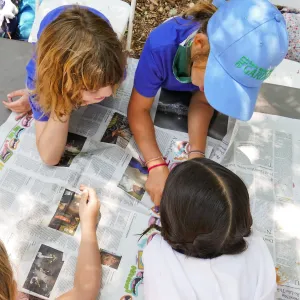 Acorn Adventurers Summer Camp