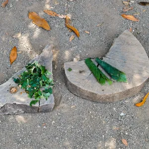 Acorn Adventurers Summer Camp, make-believe salad and tamales from restaurant game in the Woodrat House casita