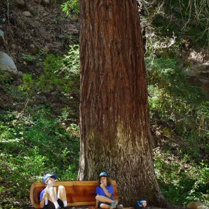 Plantastic Problem Solvers Summer Camp, biomimicry journaling activity
