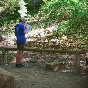 Plantastic Problem Solvers Summer Camp, biomimicry journaling activity