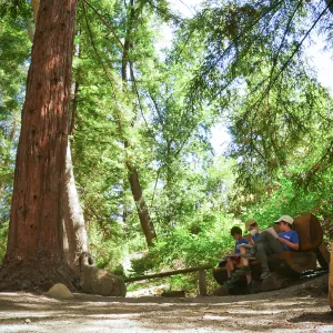 Plantastic Problem Solvers Summer Camp, biomimicry journaling activity