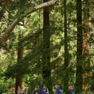 Plantastic Problem Solvers Summer Camp, biomimicry journaling activity