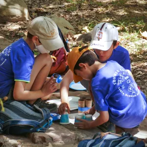 Plantastic Problem Solvers Summer Camp, tower building activity