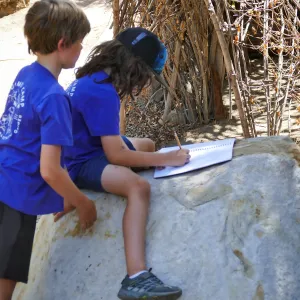 Plantastic Problem Solvers Summer Camp