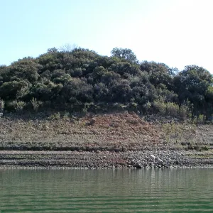 Lake Casitas boat tour